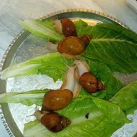 حلزون