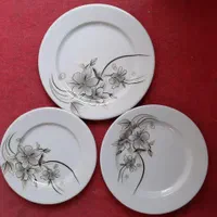 سرویس ملامین مینا«نشکن»گرد*استاندارد