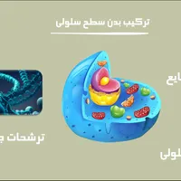 پاورپوینت تخصصی|خدمات رایانه‌ای و موبایل|تهران, زعفرانیه|دیوار