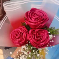 گل روبانی