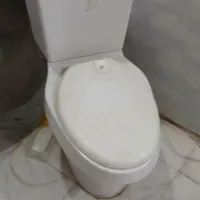 دوعدد فرنگی.