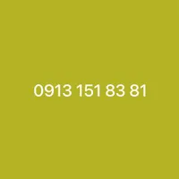 09131518381