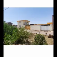 گاوداری تهاتر با ملک تهران و رشت|فروش دفتر صنعتی، کشاورزی، تجاری|صفادشت, |دیوار