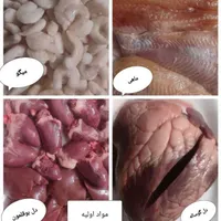 غذای دیسکس