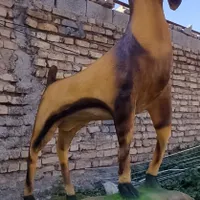 مجسمه|مجسمه، تندیس، ماکت|شیراز, پانصد دستگاه ارتش|دیوار