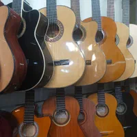 گیتار پالمر