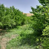 فروش‌ومعاوضه باغ۱۰۰۰ متری در عارفی‌|فروش دفتر صنعتی، کشاورزی، تجاری|مشهد, رباط طرق|دیوار