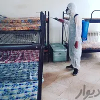 سمپاشی سوسک ساس کک کنه سم پاشی موش مورچه مارمولک|خدمات نظافت|کرج, مارلیک|دیوار