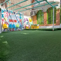 ، چمن. مصنوعی مدل رز بلژیکی