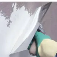 استاد پلاستر زن و زبره