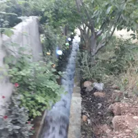 ویلا مهمانسرای مادر بزرگ فارس سپیدان روستای سربست|اجارهٔ کوتاه‌مدت ویلا و باغ|شیراز, ارم|دیوار