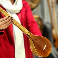 سه تار مهر نظری چوب گردو
