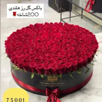 دسته گل رز هلندی با طراحی خاص و زیبا|گل و گیاه طبیعی|تهران, اکباتان|دیوار