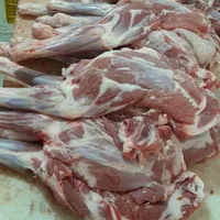 کهره بره بز میش قوچ پازن گوساله گاو گوشت