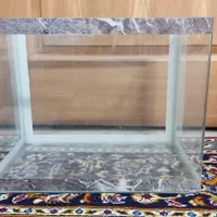 آکواریوم شیشه خم سالم|ماهی|تهران, حشمتیه|دیوار