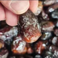 کشمش چرخ شده و خرما هسته گیری شده ، مخصوص آبگیری|خوردنی و آشامیدنی|تهران, شهرک ابوذر|دیوار