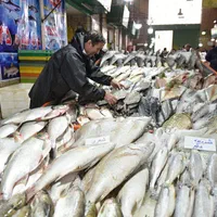 بازارچه غدیر عرضه ماهی شمال و جنوب