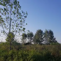 فروش زمین مسکونی-باغی به متراژ۲۲۳۰متر درشمال|فروش زمین و ملک کلنگی|تهران, تهران‌نو|دیوار