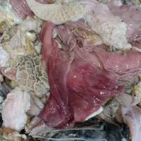 ضایعات سیرابی برای سگ|لوازم جانبی حیوانات|رشت, پاستوریزه|دیوار