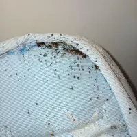 سمپاشی سم پاشی ساس و۰شبانه روزی بافاکتورضمانت کتبی