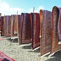 قالیشویی، مبلشویی و خشکشویی ماهان کنگان