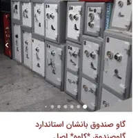 گاو صندوق بزرگ و.گاوصندوق کوچک