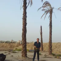 قطع و هرس درخت خشک و برش درخت خشک|خدمات باغبانی و درختکاری|تهران, نظام‌آباد|دیوار