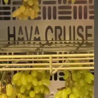 دستگاه خشک کن میوه سبزی تنقلات ساز مفید