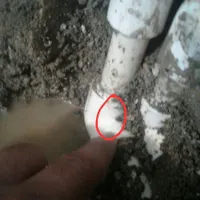 نشت یابی نشت یاب نشتیابی لوله کش