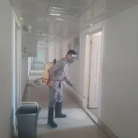 سم زدای منازل