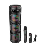 باند اسپیکر ایستاده سینما خانگی ارتفاع 1متر آپشنال