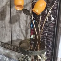 آباژور