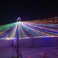 ریسه آرایی نخل میناب