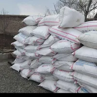 خریدکودسفید اوره به صورت نقدی|خدمات باغبانی و درختکاری|سراب, |دیوار