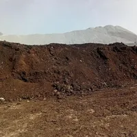 کود حیوانی گوسفندی گاوی