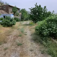 کارگر ساده ساختمانی باغبان  باغ  استخدام|استخدام معماری، عمران و ساختمانی|تهران, تهرانپارس شرقی|دیوار