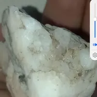 سنگ قدیمی معاوضه ای قناری فسیل زیرخاکی|کلکسیون اشیاء عتیقه|زابل, |دیوار