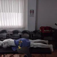 آموزش طب سوزنی حجامت و زالو