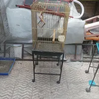 قفس کاسکو ۱۰۳۳ ضخیم