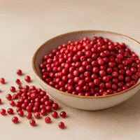 تولید کننده محتوا تخصصی سایت