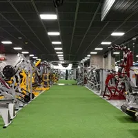 هم باشگاهی