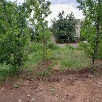 زمین با جواز ساخت ...روستای خور تاپ لوکیشن|فروش زمین و ملک کلنگی|آسارا, |دیوار