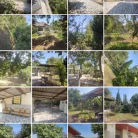 اجاره سوییت