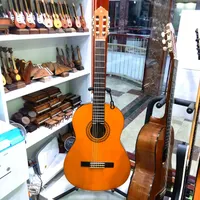 آموزش تخصصی گیتار