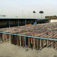 قالیشویی و مبل شویی آسیا