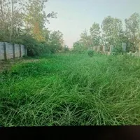 زمین 1400متری باسند وبنا وتمام انشعابات زیر قیمت|فروش زمین و ملک کلنگی|تهران, دریاچه شهدای خلیج فارس|دیوار