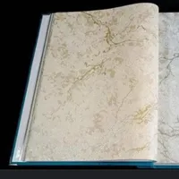 کاغذدیواری پتینه کناف ترمووال ۱۲ دیوارکوب|مصالح و تجهیزات ساختمان|اصفهان, سروستان|دیوار