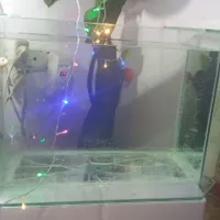 اکواریوم