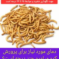تولید میلورم
