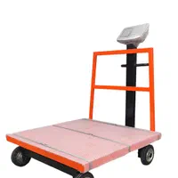 باسکول 750 کیلویی چرخدار